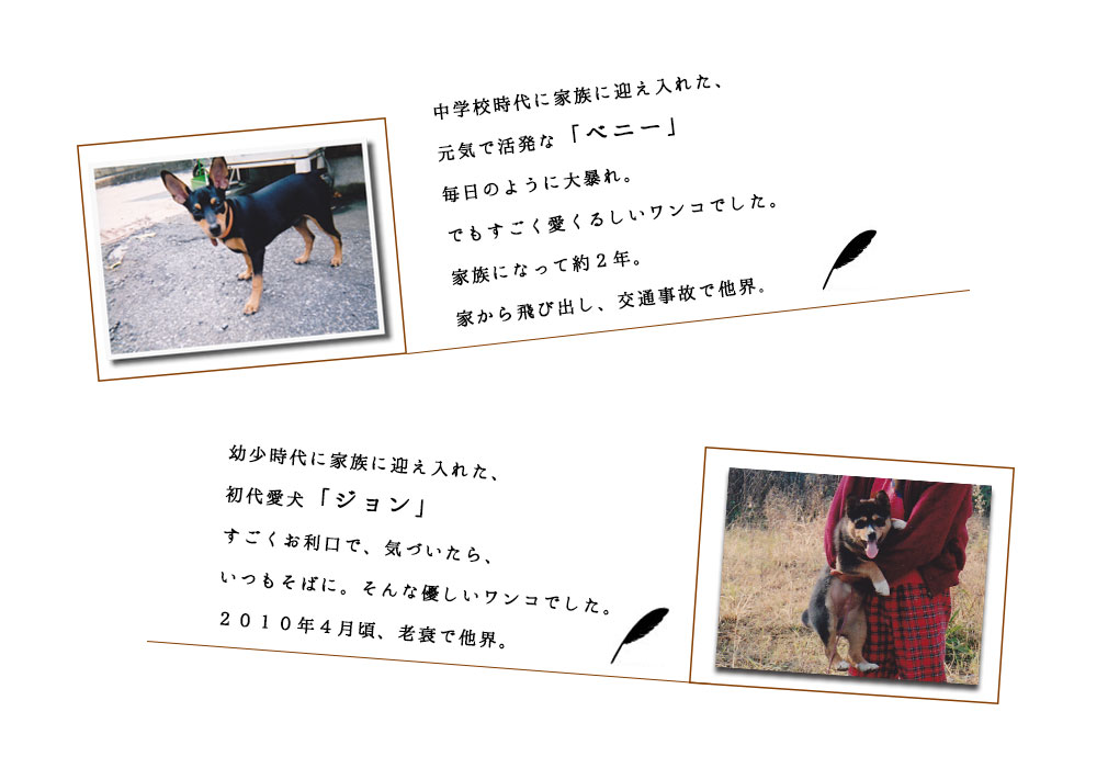 動物葬祭ディレクター 根本学イメージ