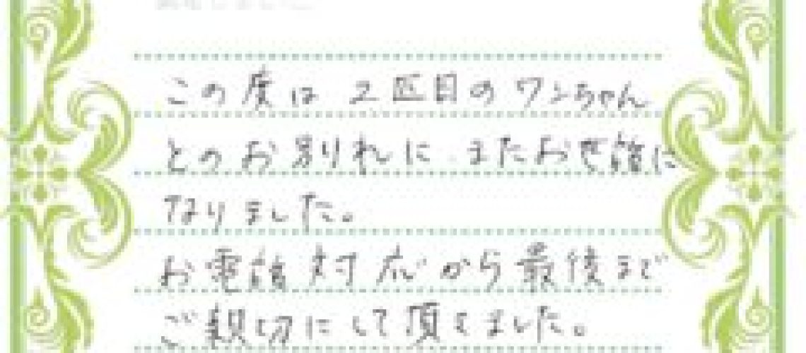 1047ペット火葬、ペット葬儀、ペット霊園、千葉、ヒルサイド倶楽部、口コミ、感想文、印西市、チワワ１